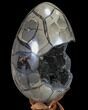 Septarian Dragon Egg Geode - Removable Section #88192-3